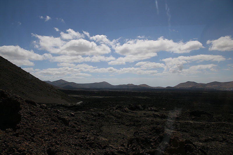 Kanary_2010 093